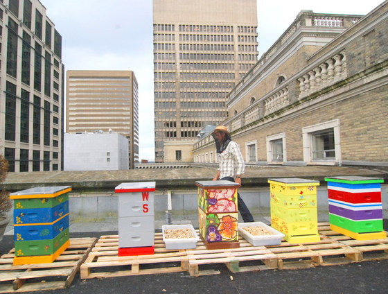 Corky Luster on Fairmont roof.JPG